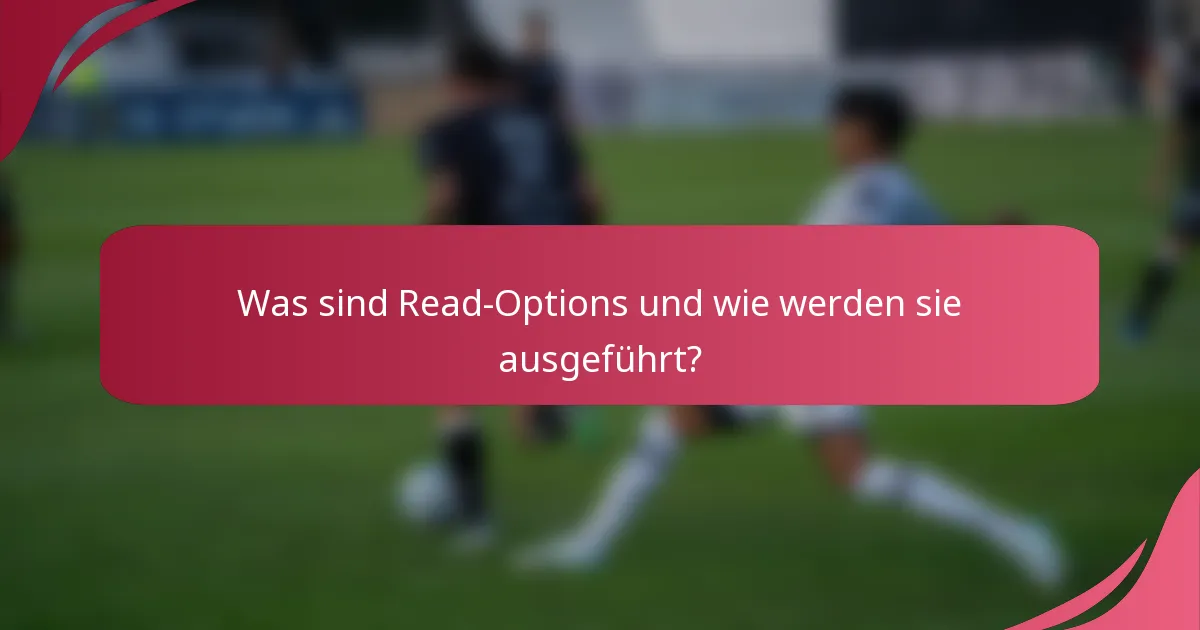 Was sind Read-Options und wie werden sie ausgeführt?